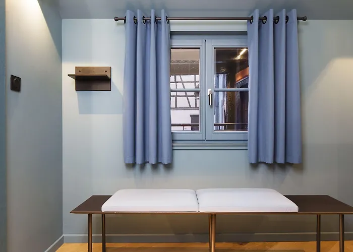 Le Colombier 酒店 科尔马