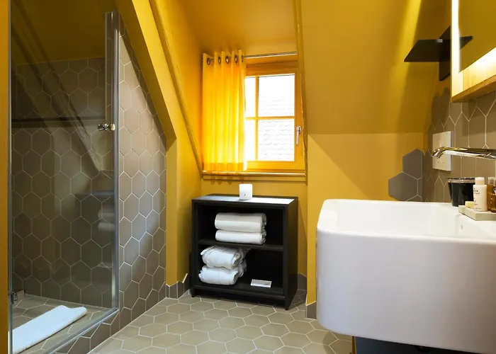 酒店 Le Colombier 科尔马